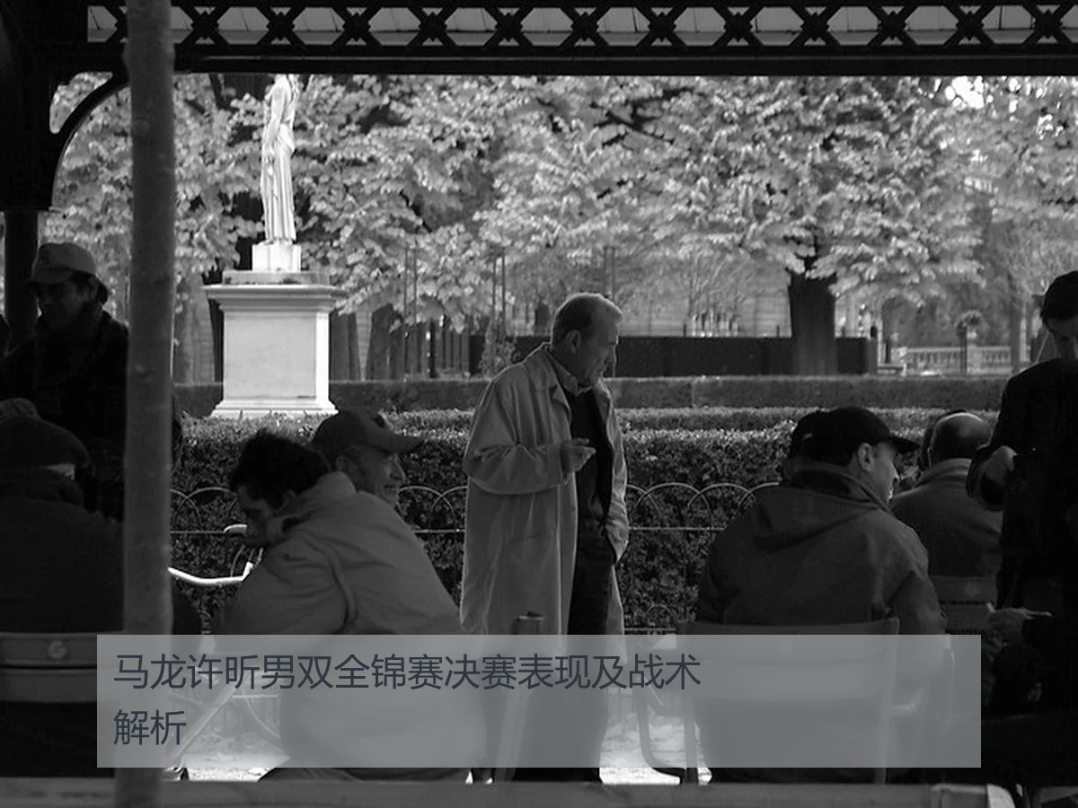 马龙许昕男双全锦赛决赛表现及战术解析